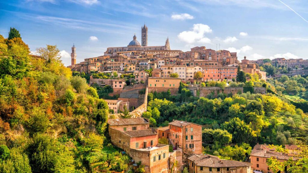 Wine production experience at Chianti Wine Florence v1