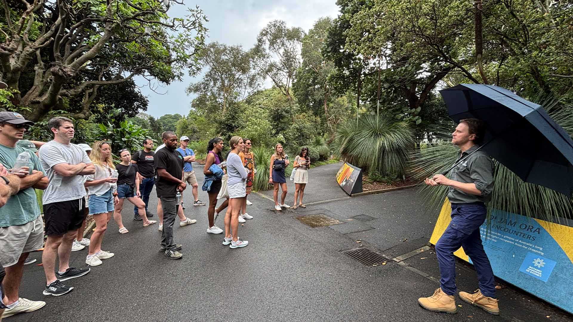 The Rocks historic district and the Royal Botanic Gardens with an expert local guide