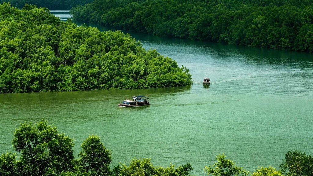 The Making of Modern Vietnam​