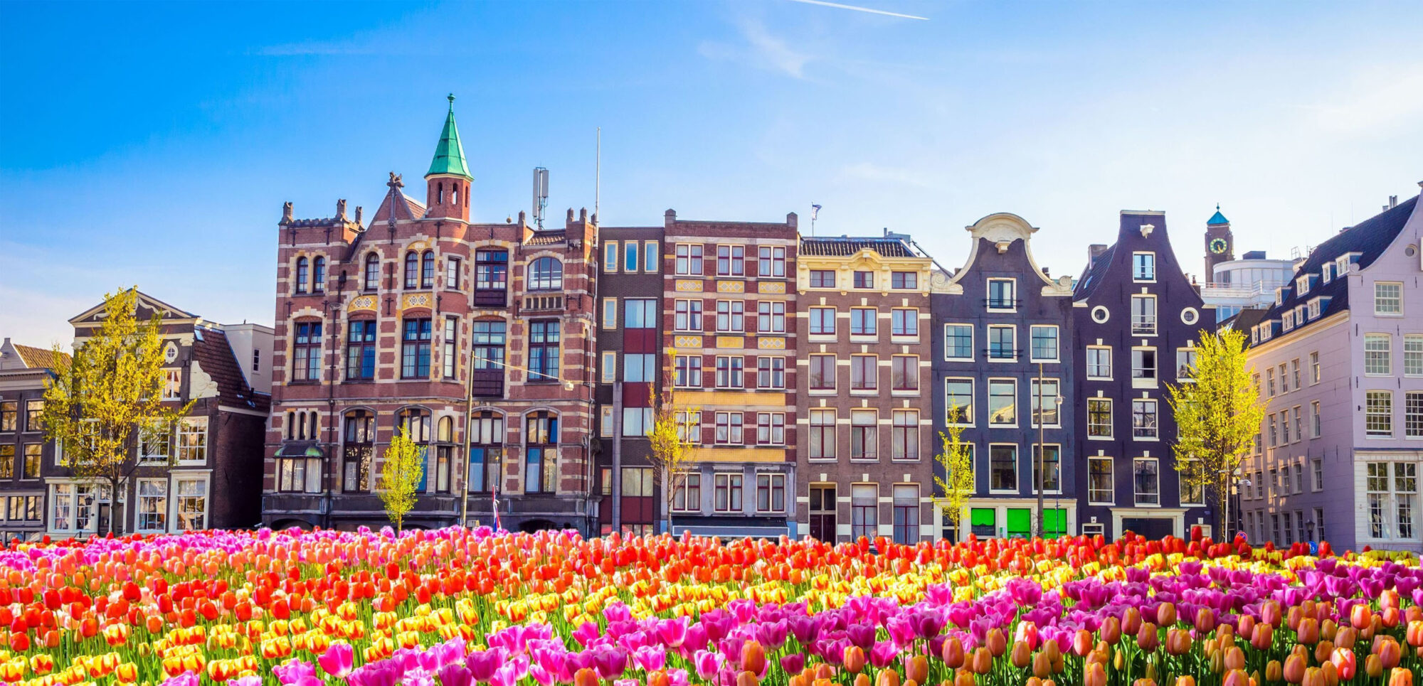 Counseling & Mental Health in Amsterdam and Copenhagen