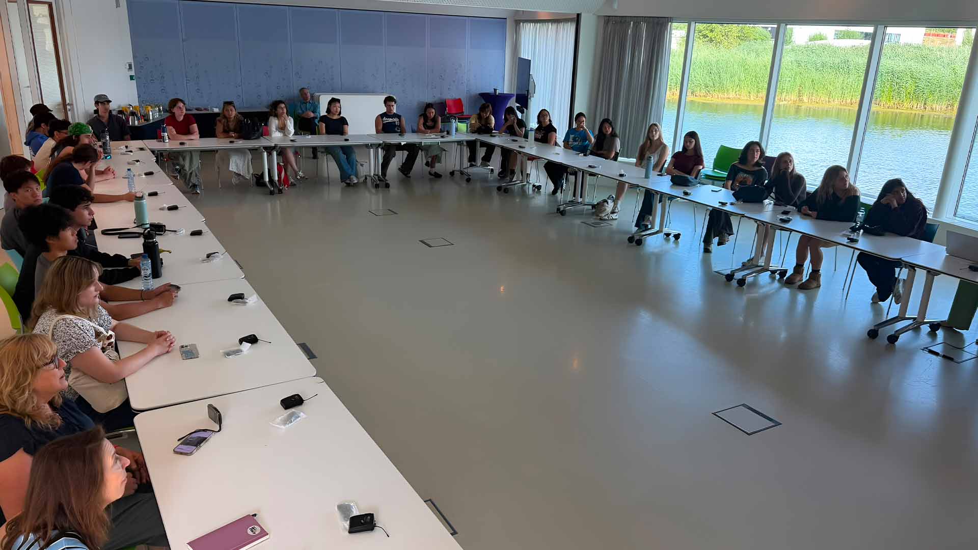 Engagement with group-therapy and mental-health organizations in the Netherlands and Denmark