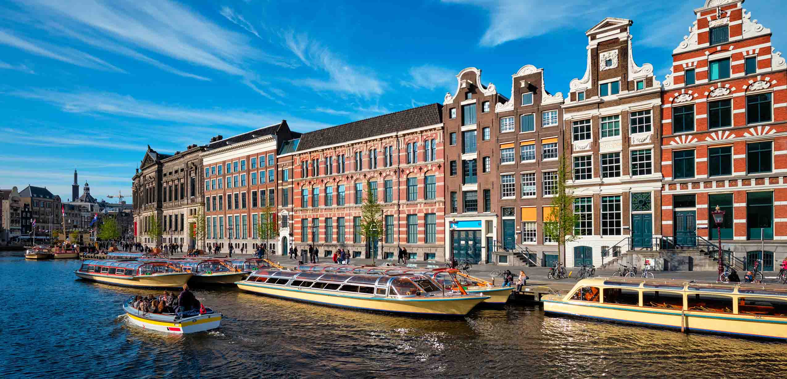 Counseling & Mental Health in Amsterdam and Copenhagen — program overview