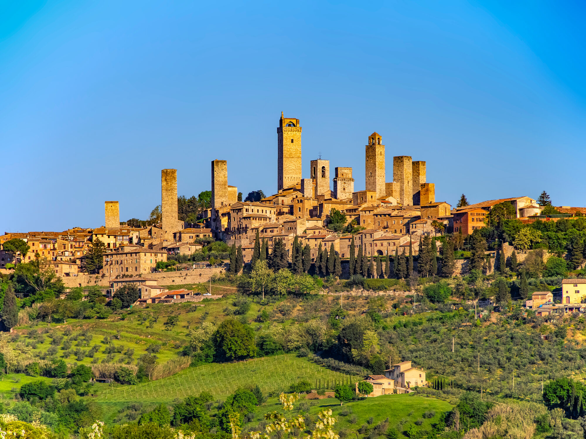 San Gimignano, a UNESCO World Heritage site, with truffle hunting alongside trained dogs