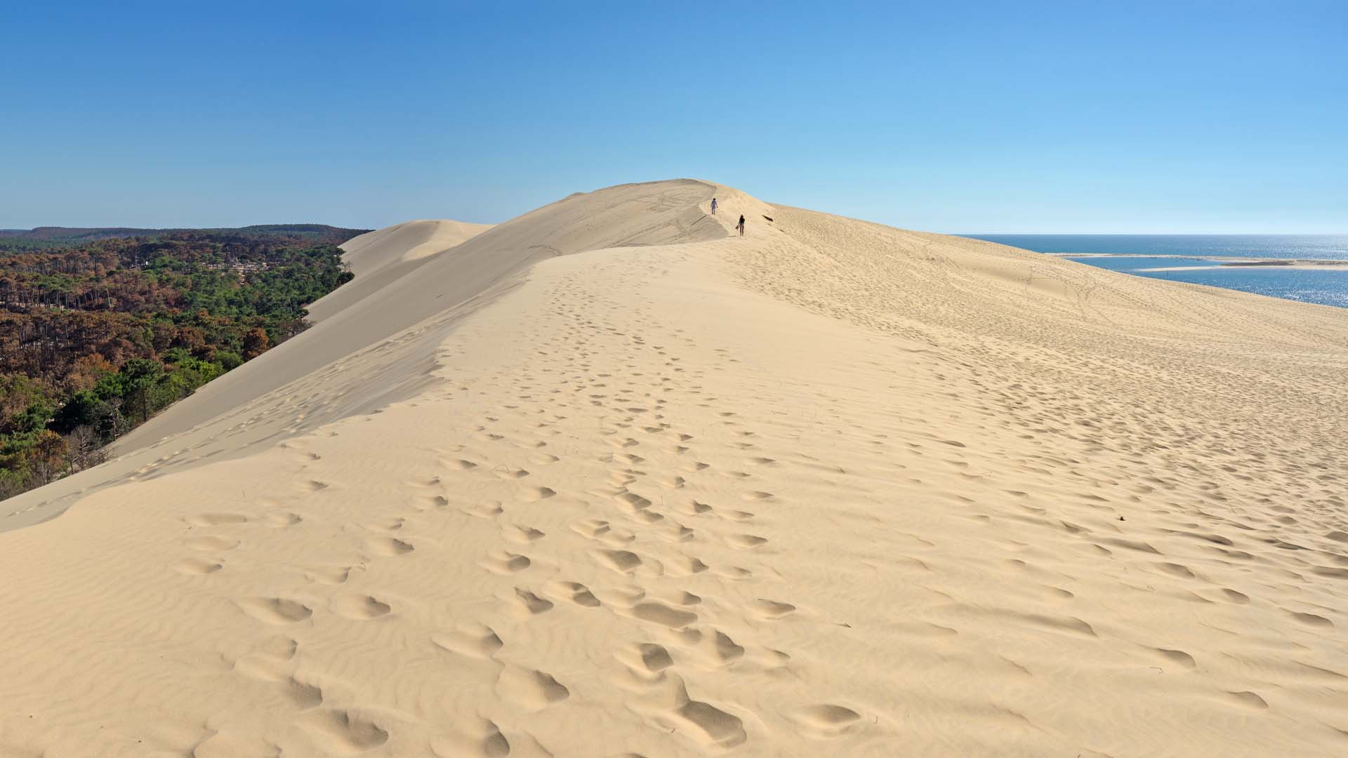 The Dune du Pilat, Europe's tallest sand dune, with panoramic Atlantic views