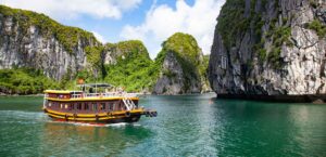 The Making of Modern Vietnam​
