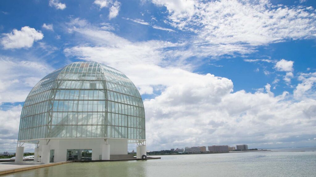Genes, Diversity & Discovery: Human Biology and Genetics in Tokyo​