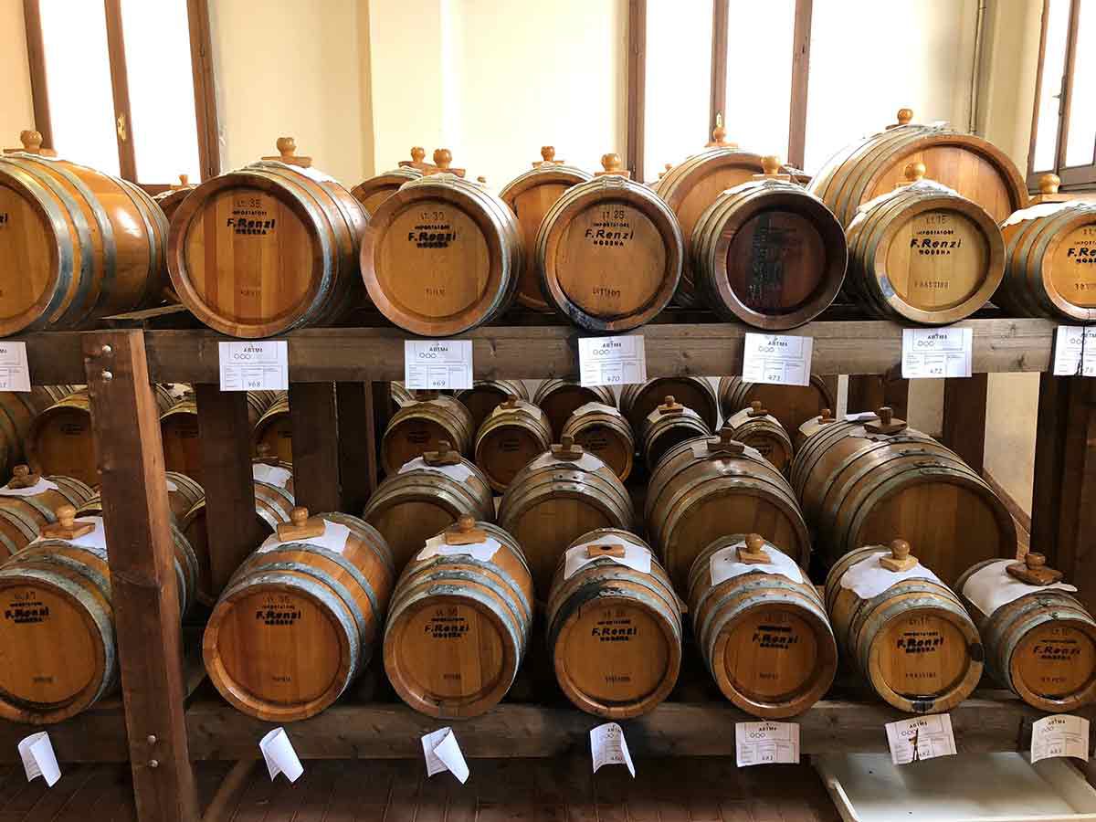Full-day Emilia-Romagna excursion — Parmigiano Reggiano and traditional balsamic vinegar production, plus a guided visit of Bologna and the Archiginnasio