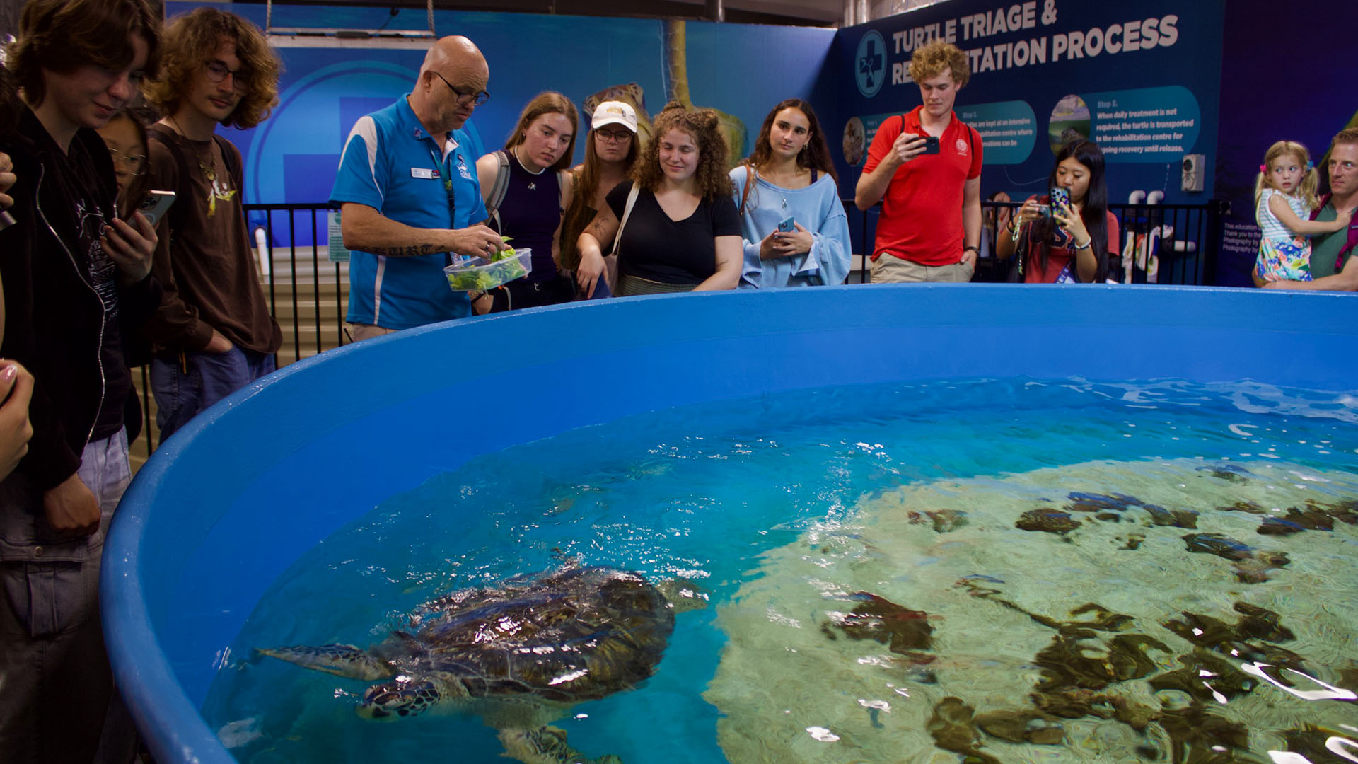 Visits to a marine aquarium, a sea-turtle rehabilitation centre and coral-restoration sites