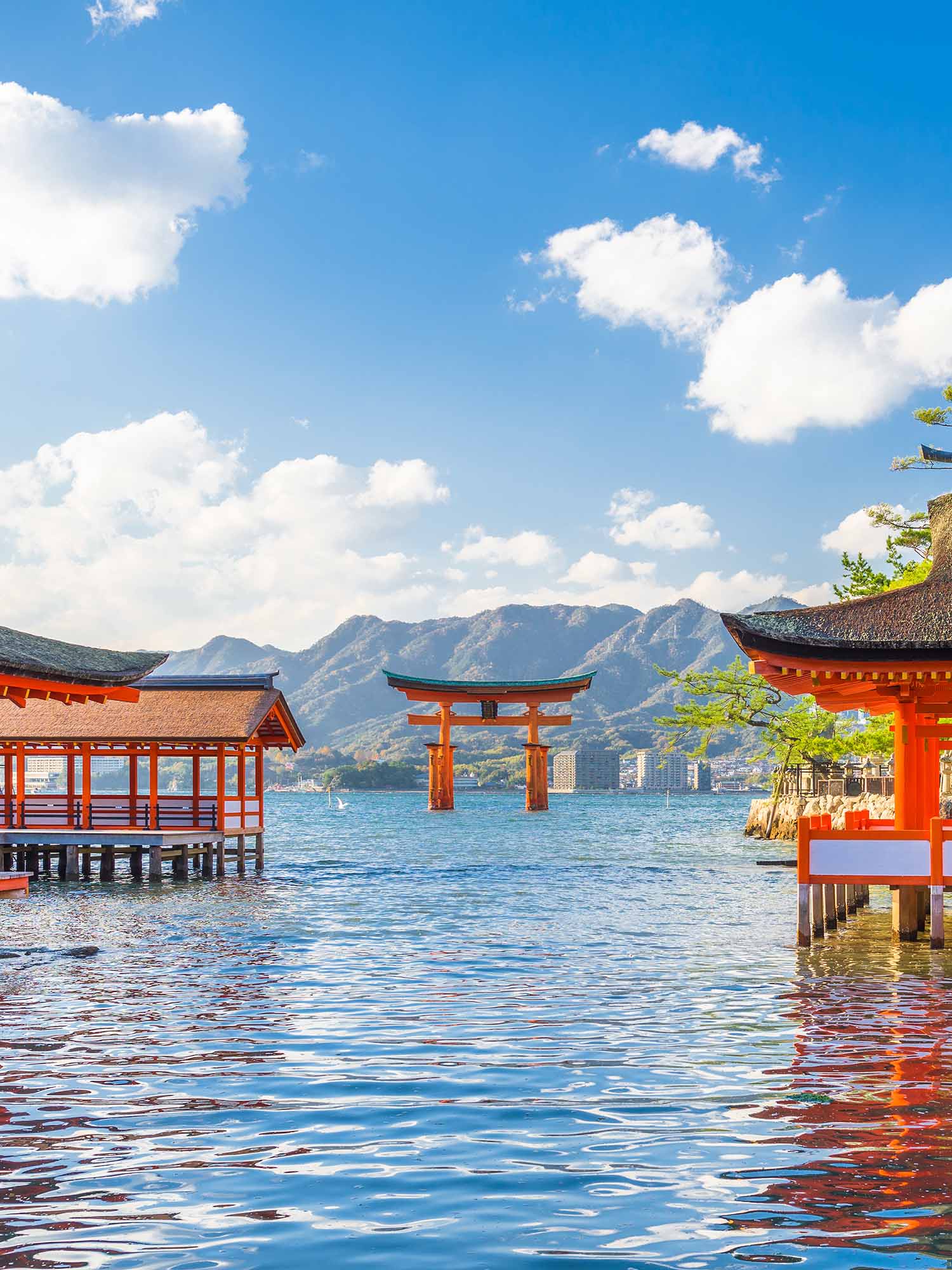 Business and Innovation in Japan — program overview
