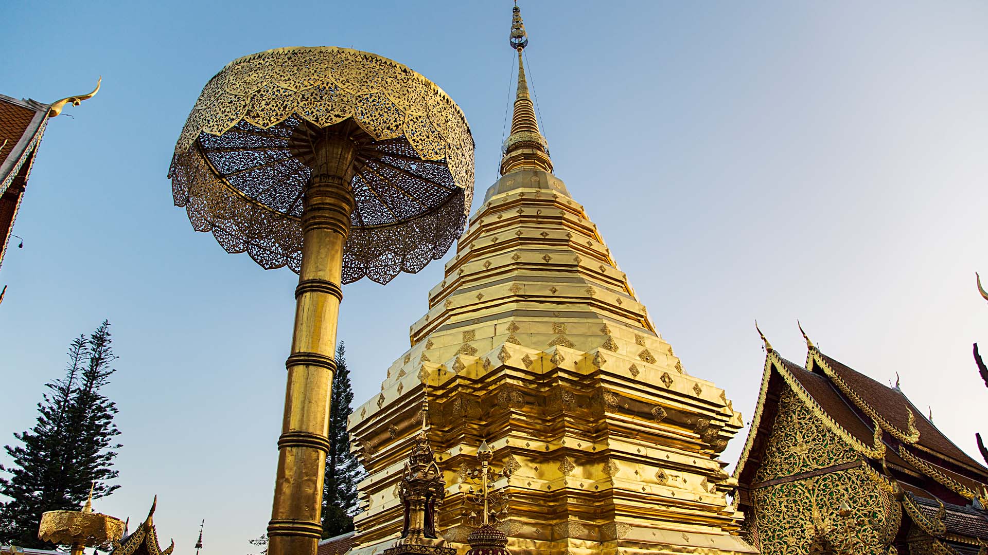 A full-day excursion to Doi Suthep-Pui National Park and the revered Wat Phra That Doi Suthep