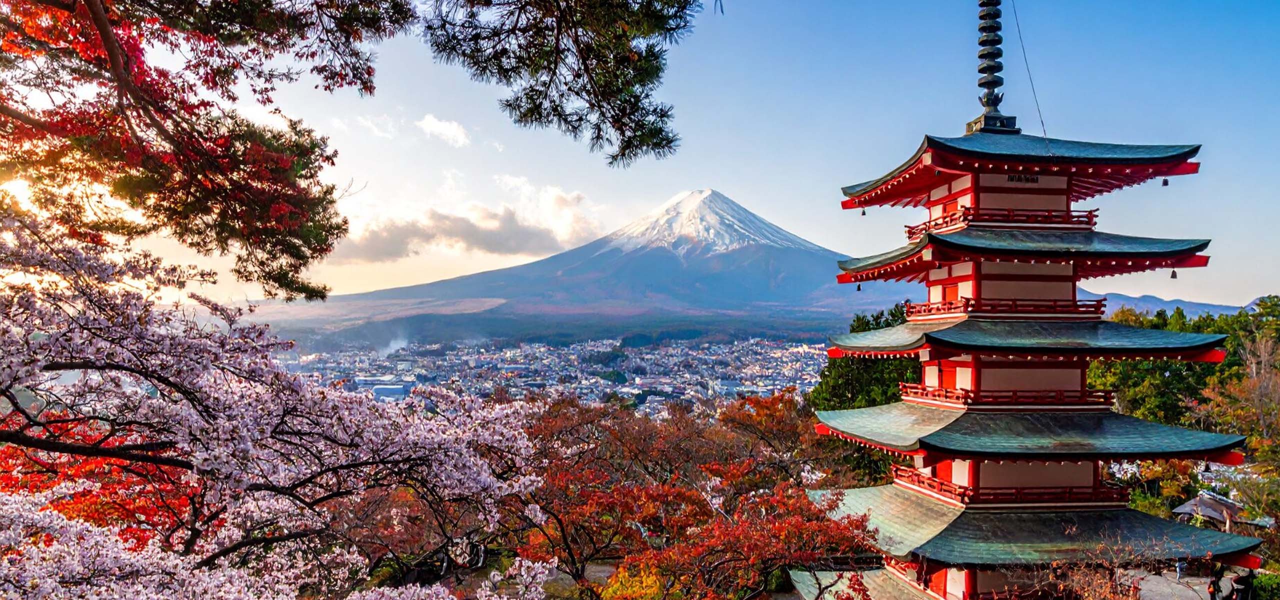 Engineering and Design Immersion in Japan