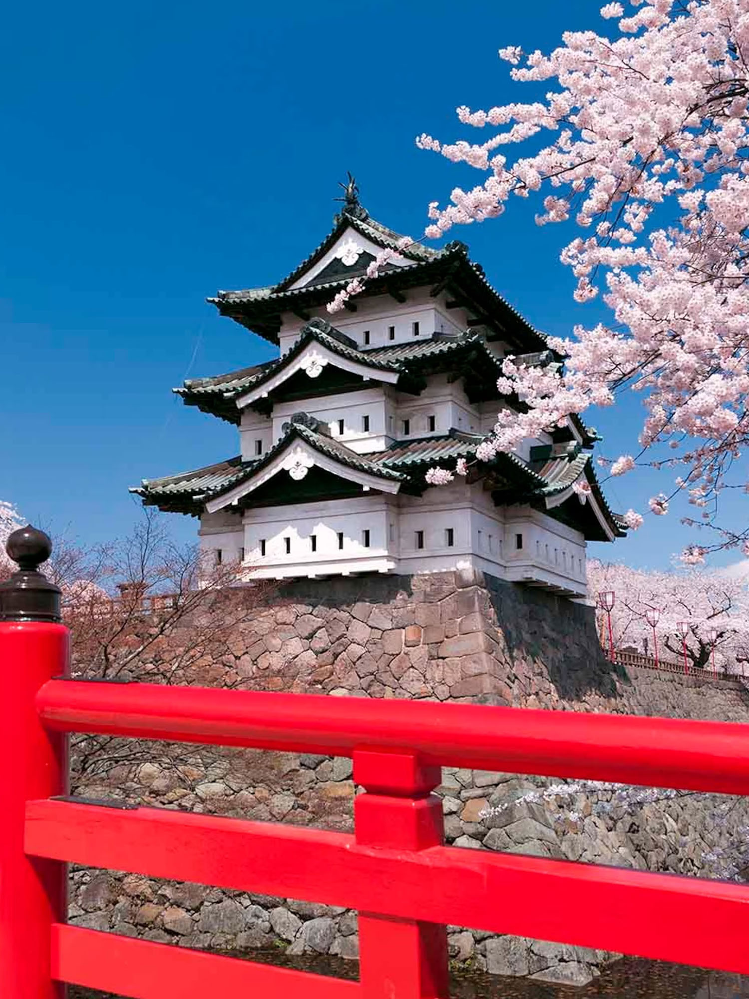 Engineering and Design Immersion in Japan — program overview