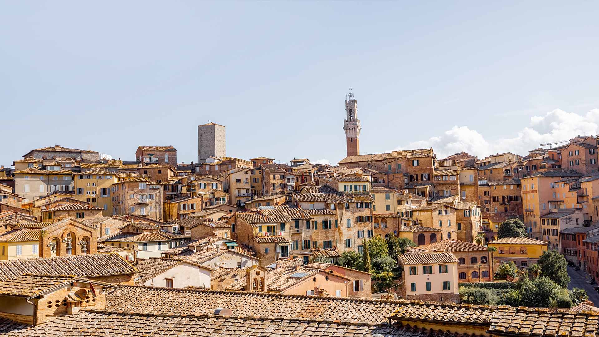 A full-day guided excursion to medieval Siena