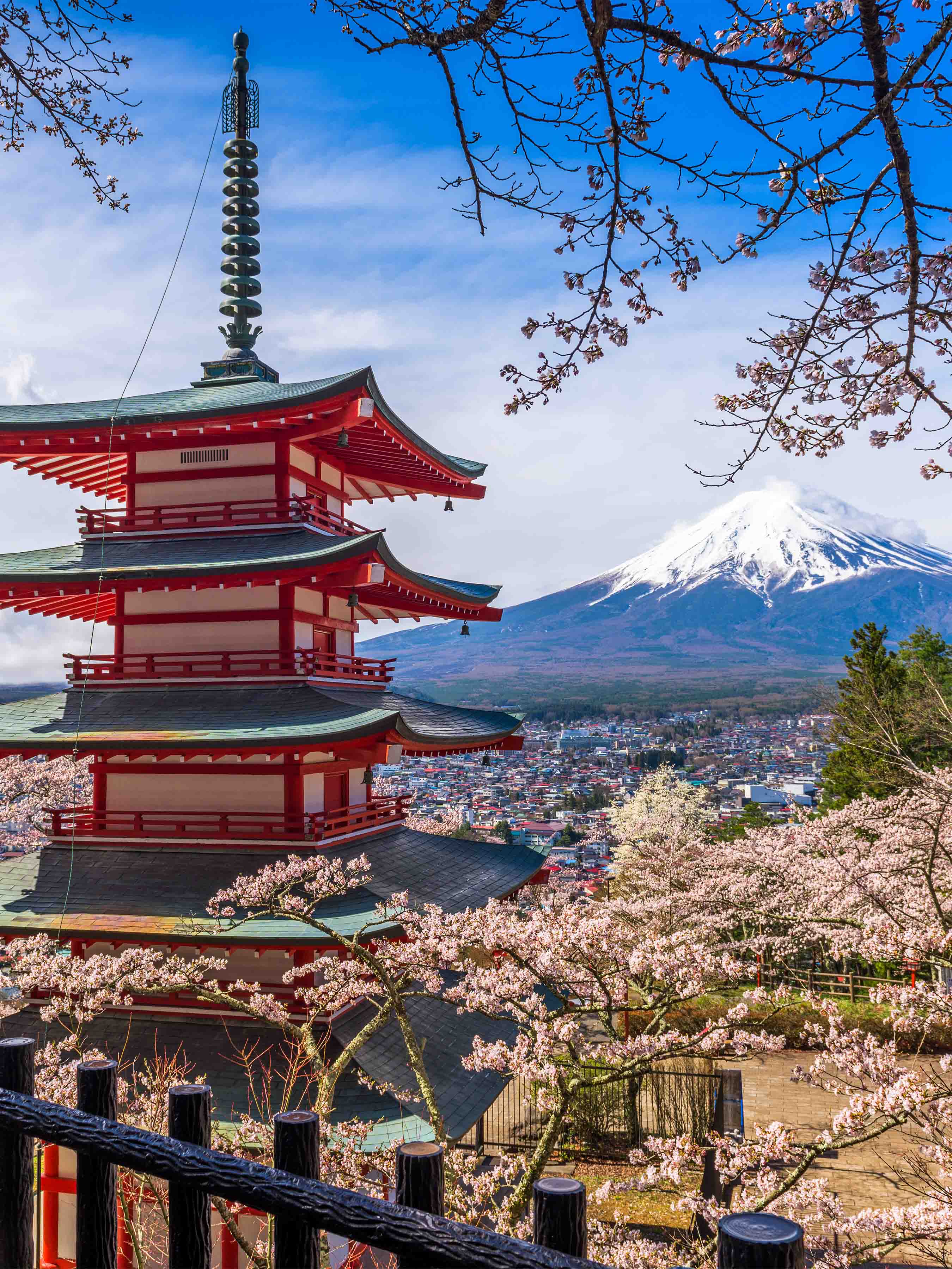 History Study Abroad in Japan — program overview