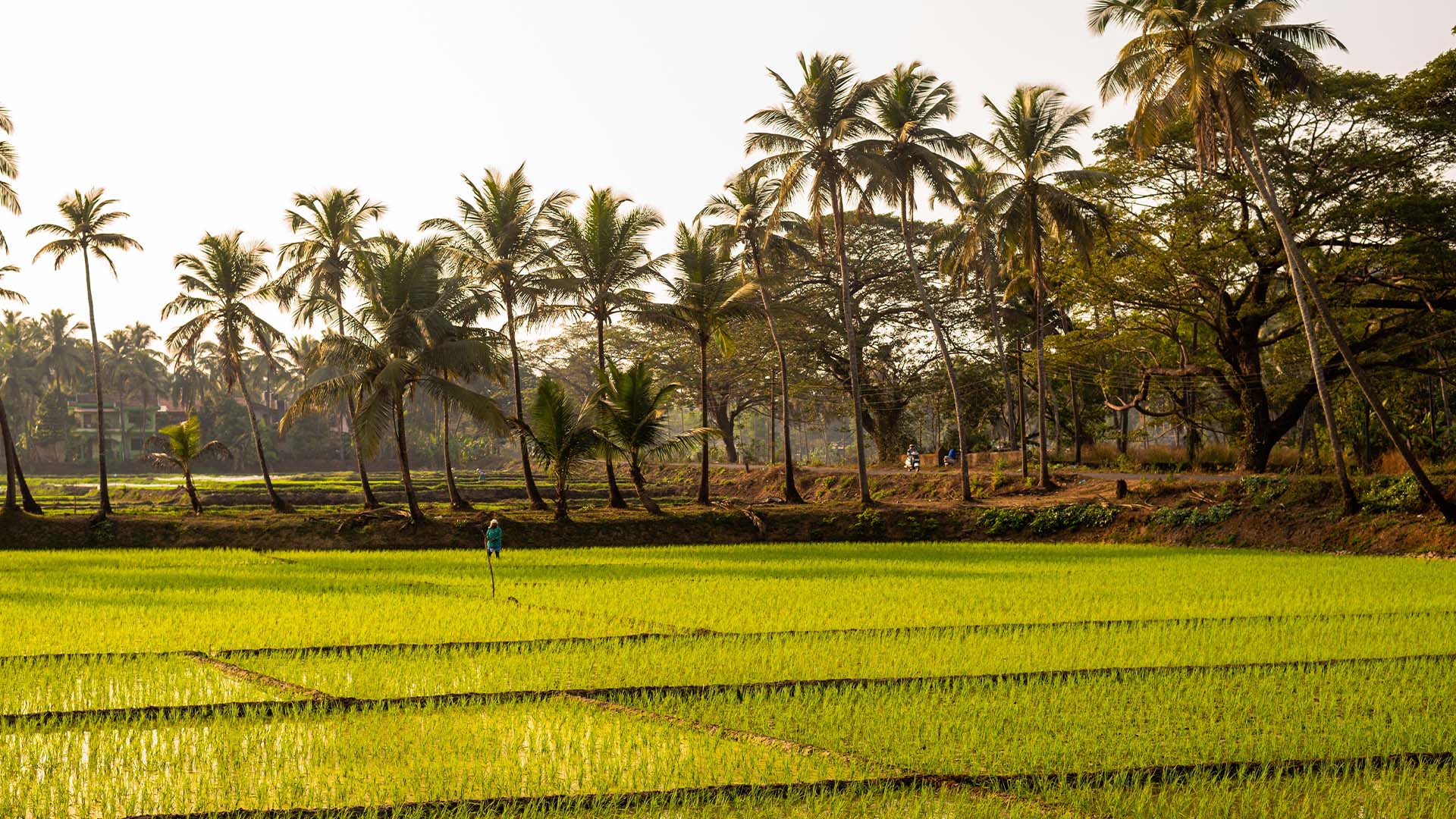 An extended community field placement in rural Maharashtra