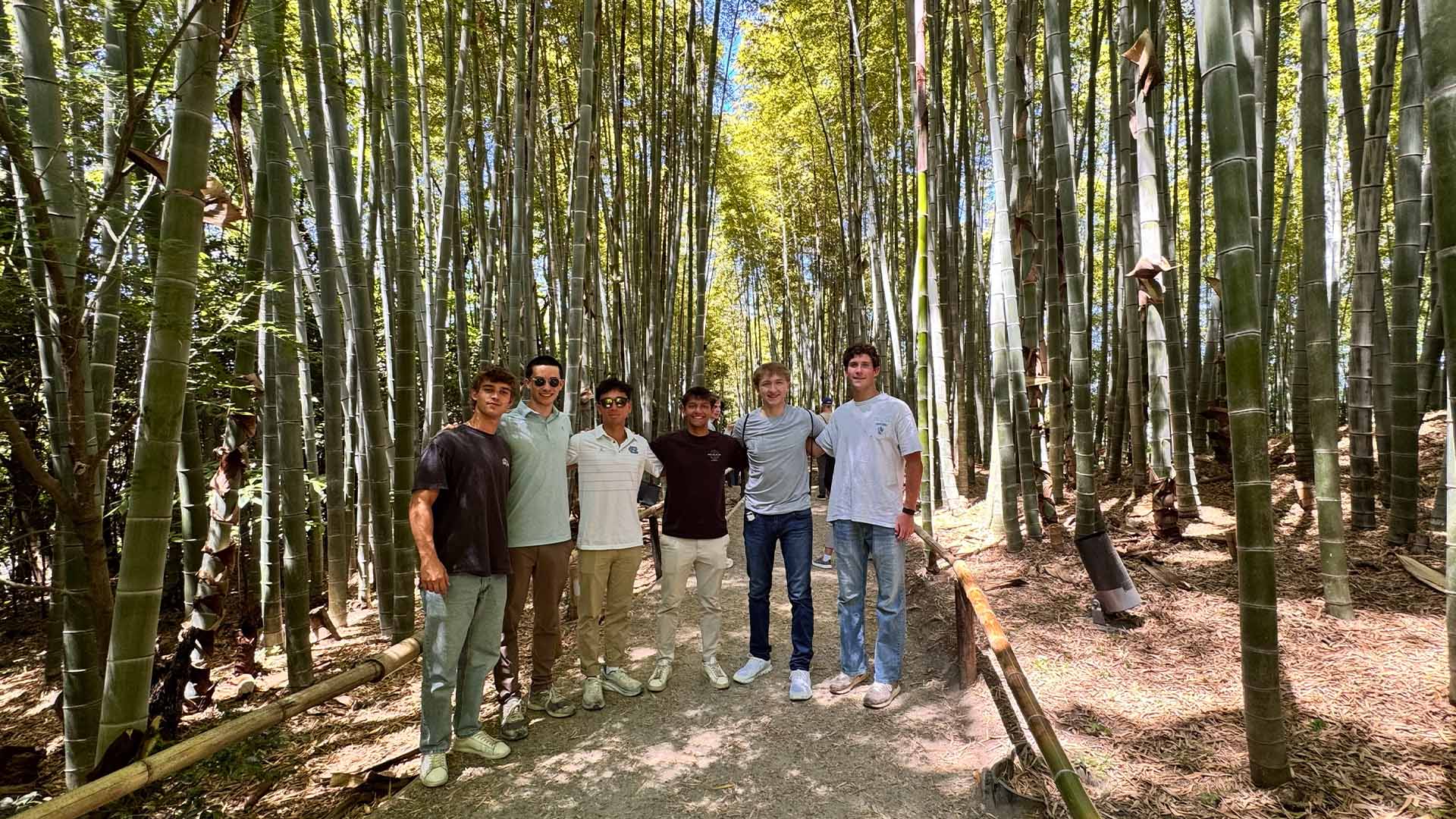 The Arashiyama and Higashiyama districts of Kyoto — bamboo grove, temples, and preserved streets