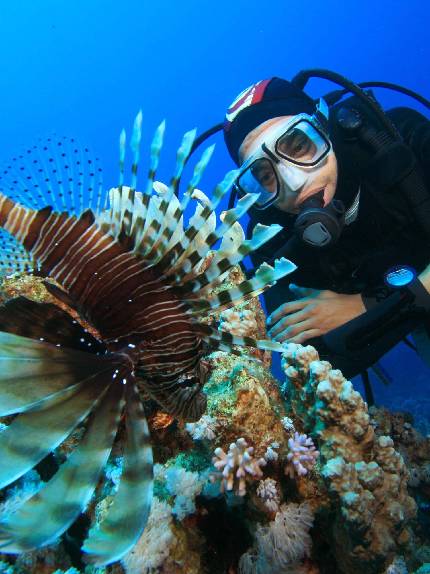 Marine Biology and Reef Conservation on the Great Barrier Reef — program overview