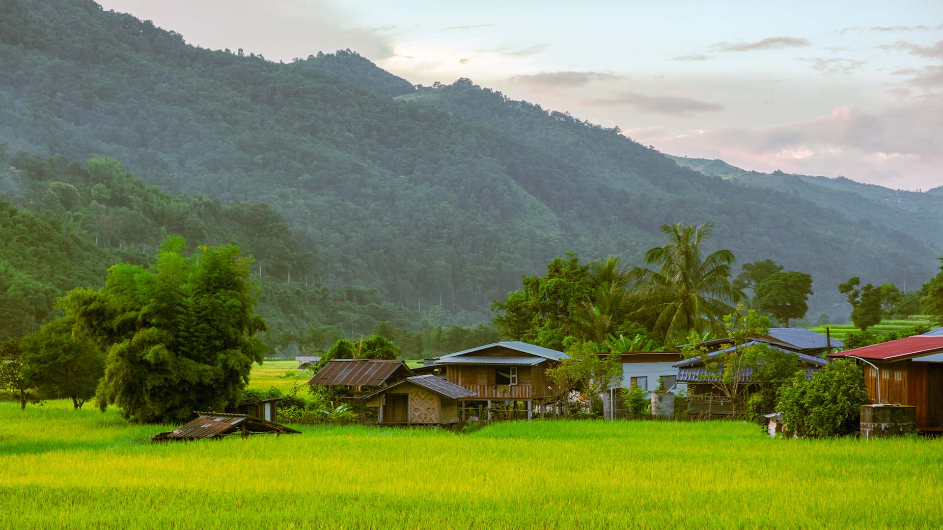 A multi-day stay at a permaculture and sustainable-living community in the northern countryside