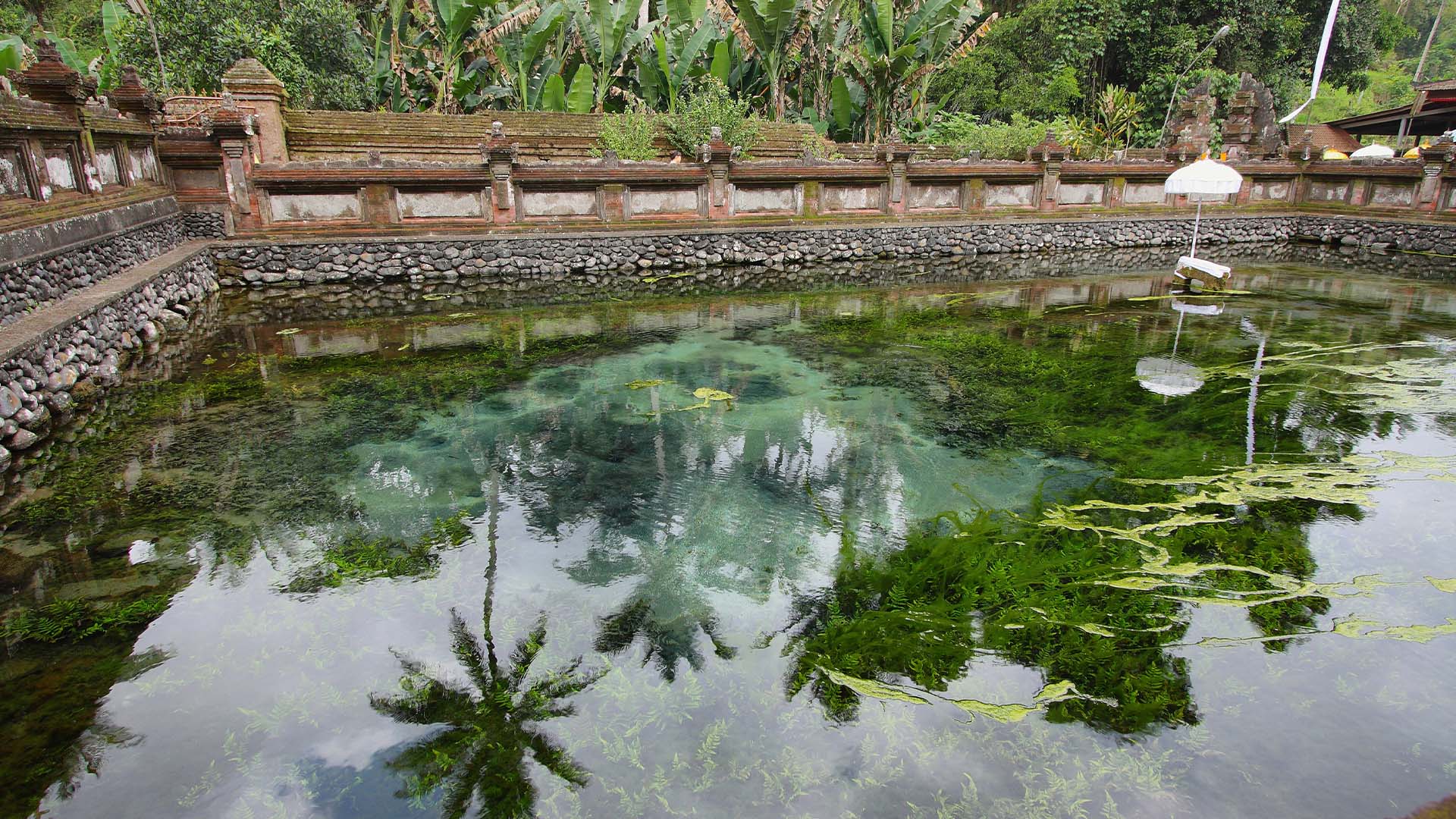 The sacred Tirta Empul Holy Spring Temple