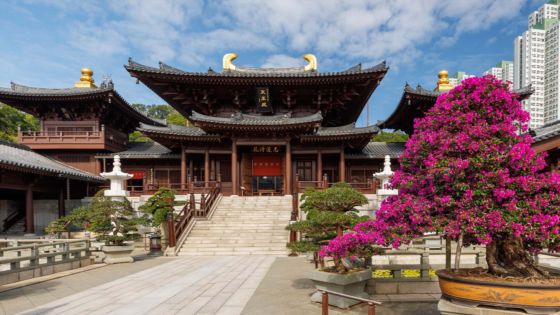 Visits to heritage museums and the serene Chi Lin Nunnery