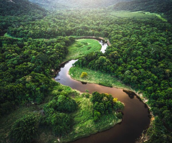 Study Abroad In Brazil