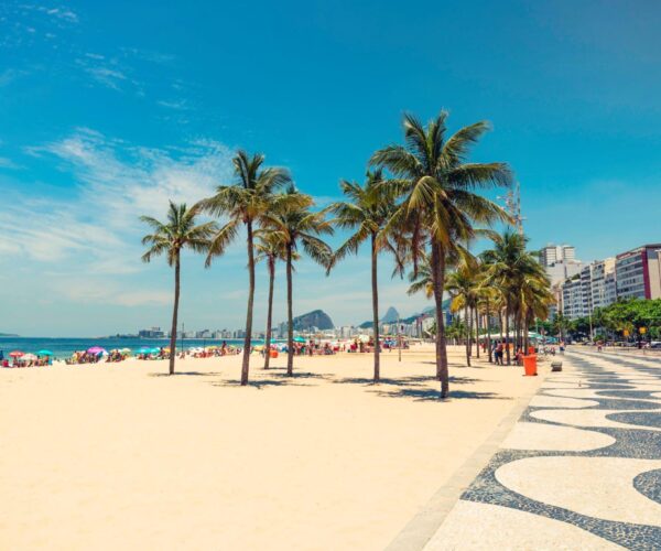 Study Abroad In Brazil