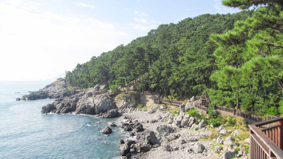 Dongbaek Island South Korea