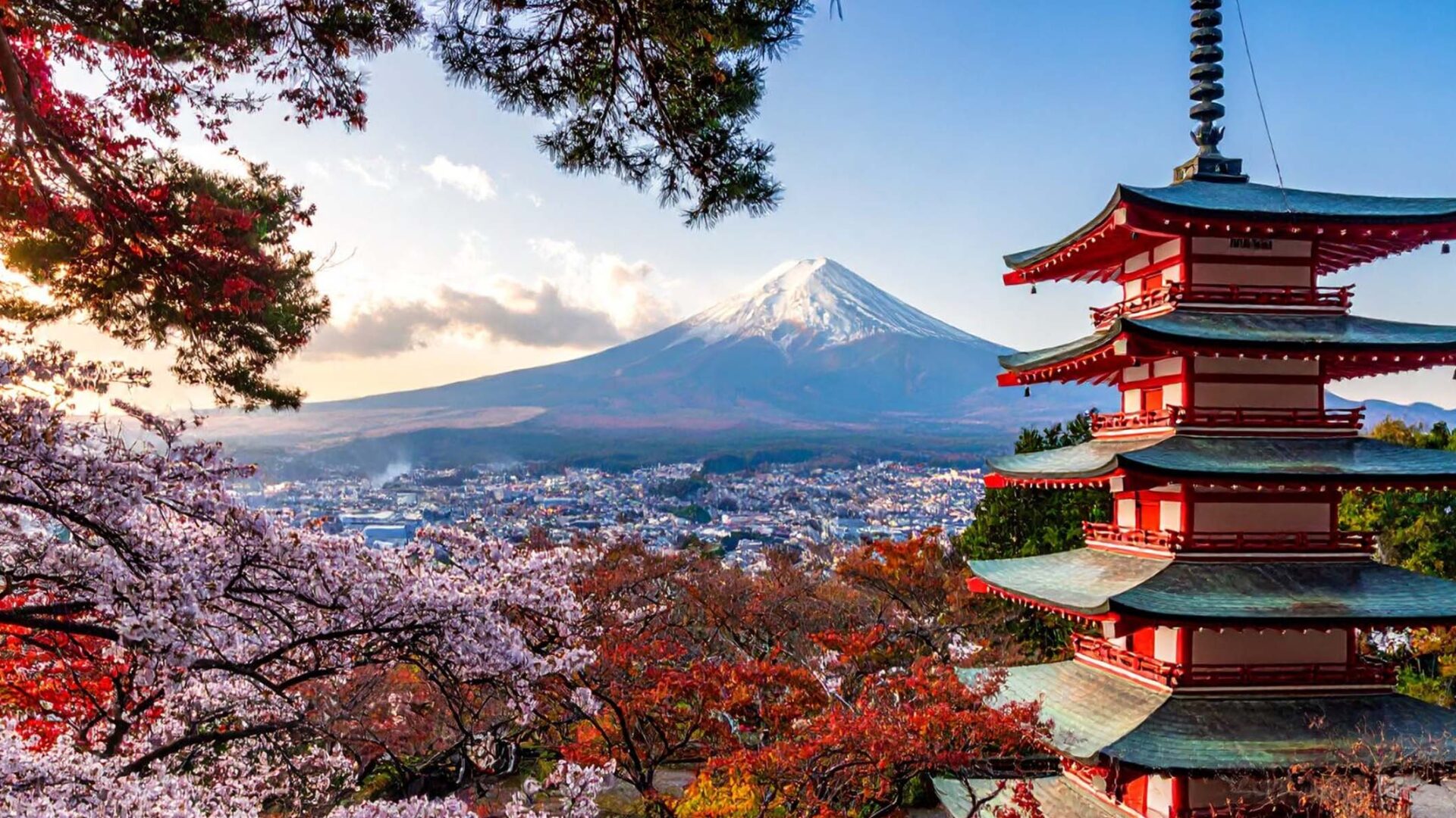 Engineering and Design Immersion in Japan Banner