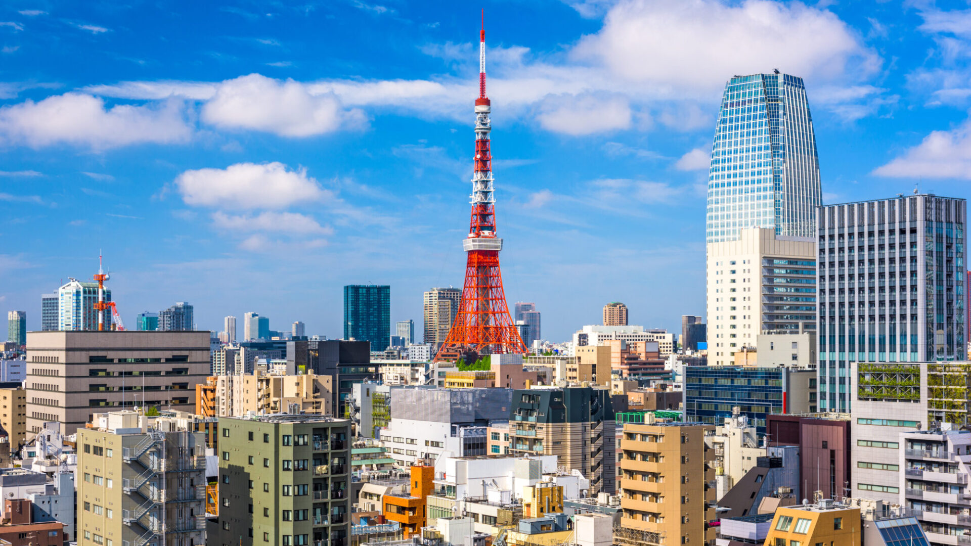Genes, Diversity & Discovery, Japan