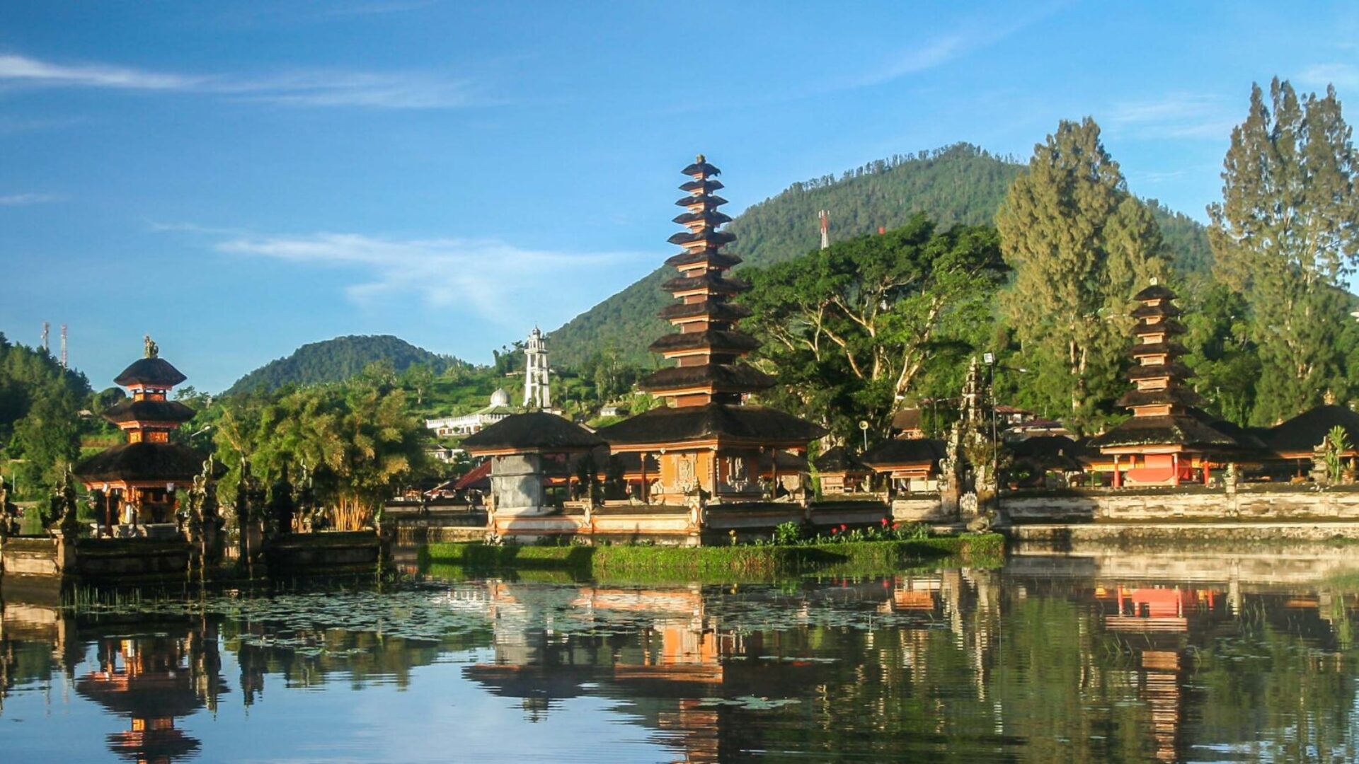 Global Business and Social Enterprise in Bali Banner