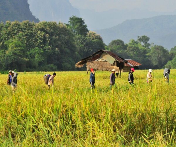 Study Abroad In Laos