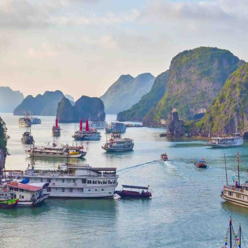 NCP Consortium Program in Vietnam Banner