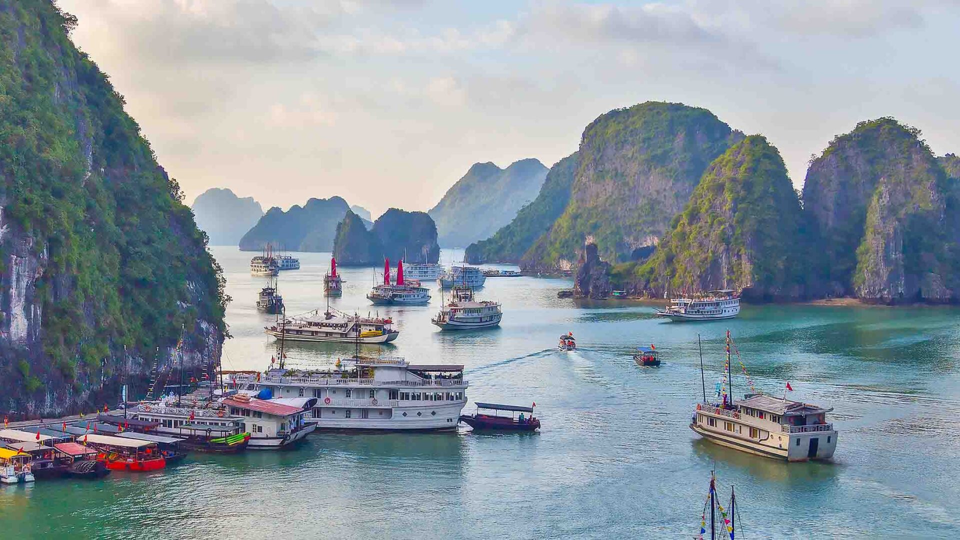 NCP Consortium Program in Vietnam Banner