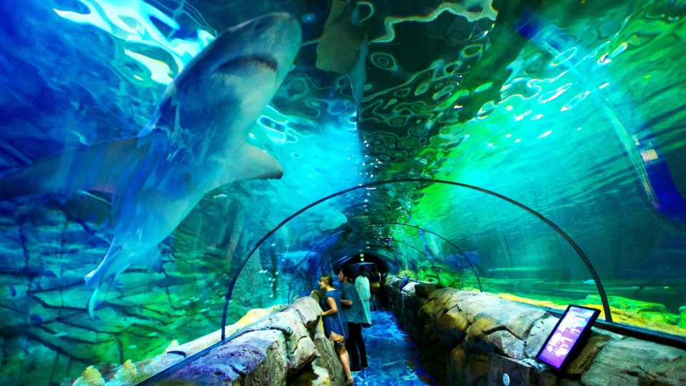 Sydney Aquarium Australia